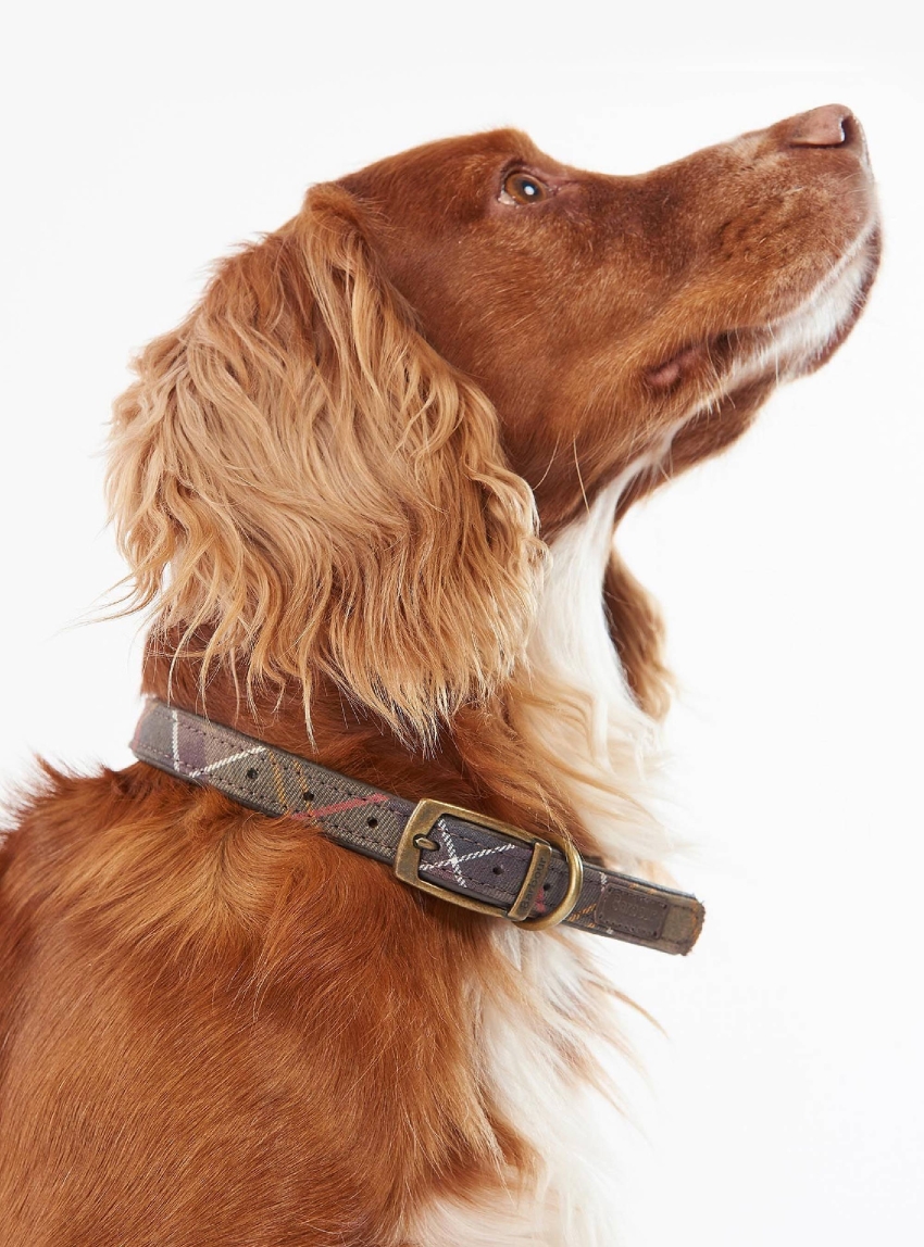 Barbour Dog Collar - Tartan