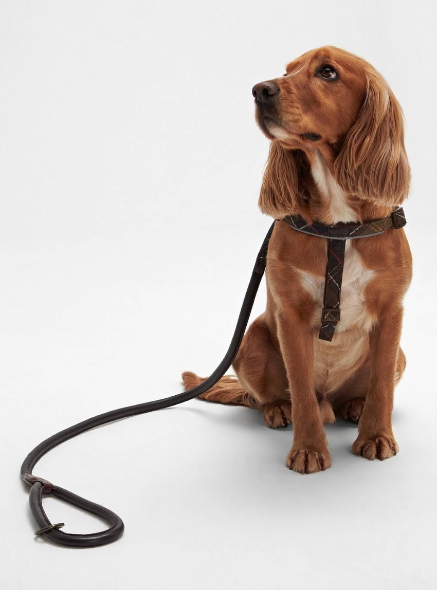 Barbour Leather Dog Lead - Dark Brown