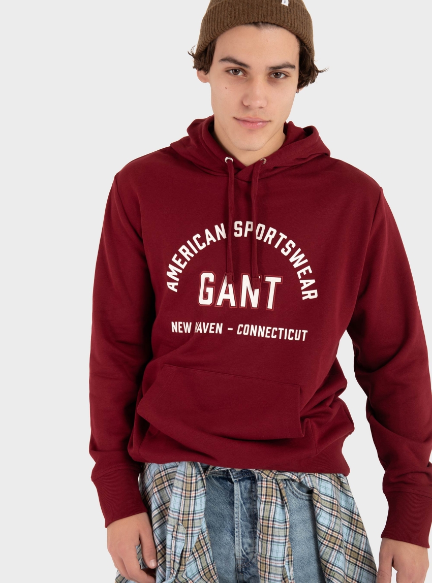 Gant PRINTED GRAPHIC SWEATSHIRT - Bordeaux