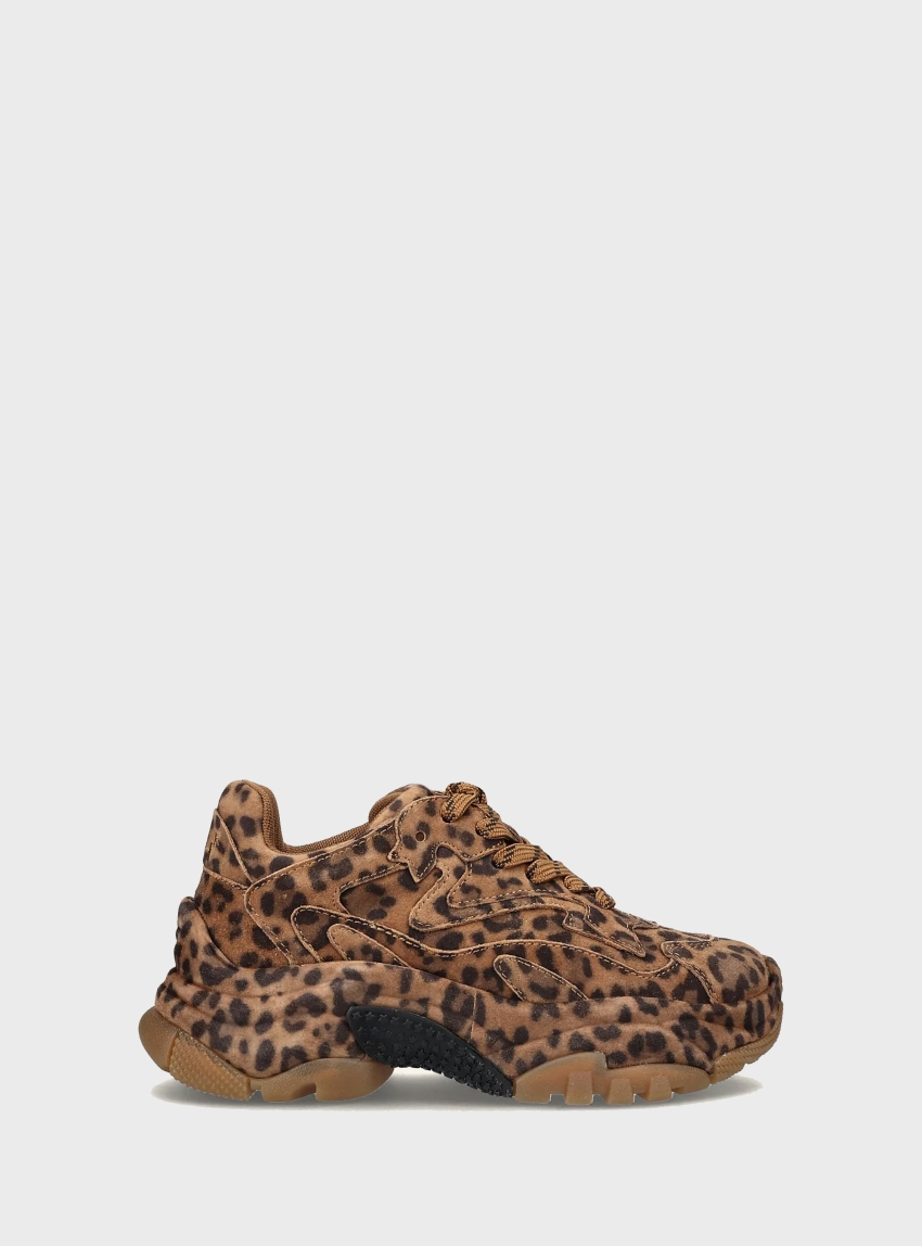 Ash Addict Bis Sneakers - Animal Print