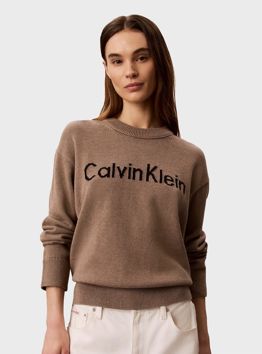 Calvin Klein Logo Graphic Relaxed Jumper - Dark Beige