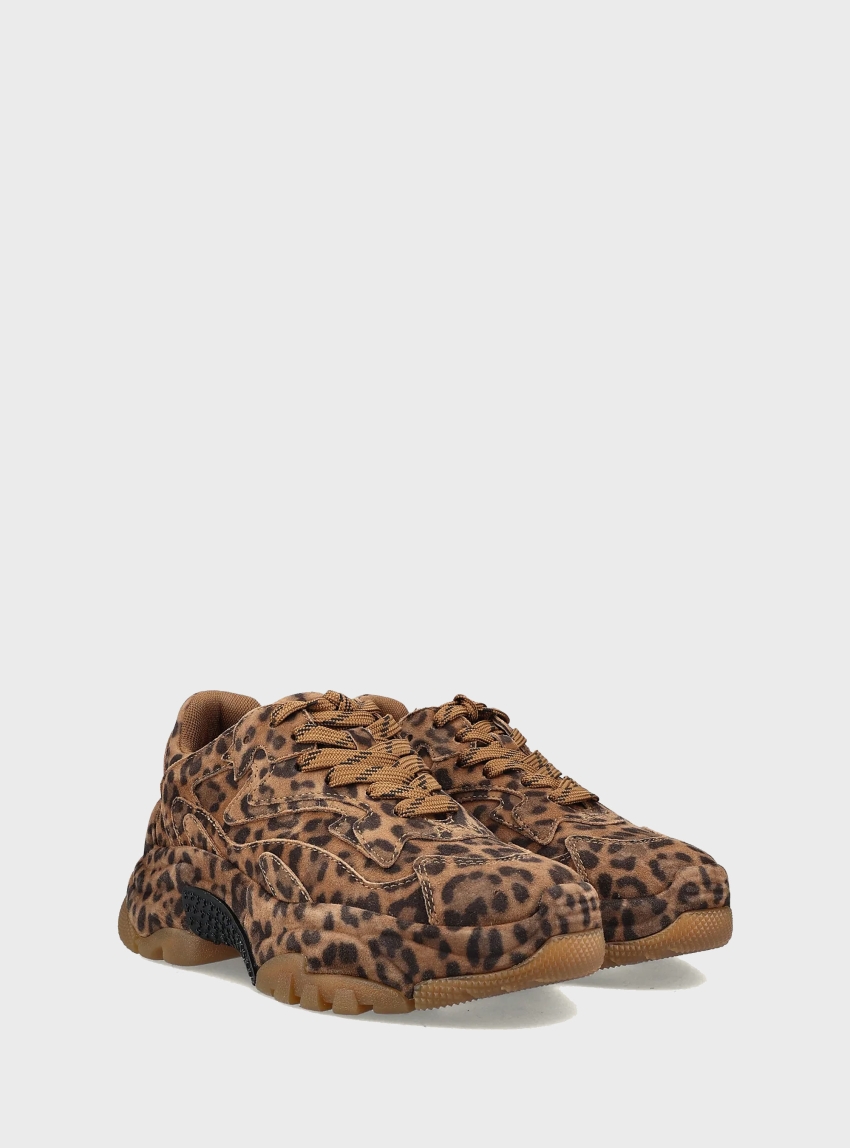 Ash Addict Bis Sneakers - Animal Print
