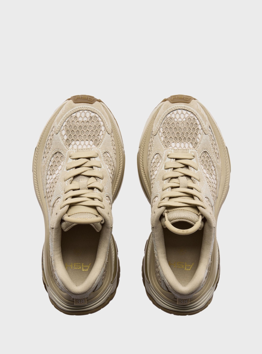 Ash Dragon Sneakers - Beige