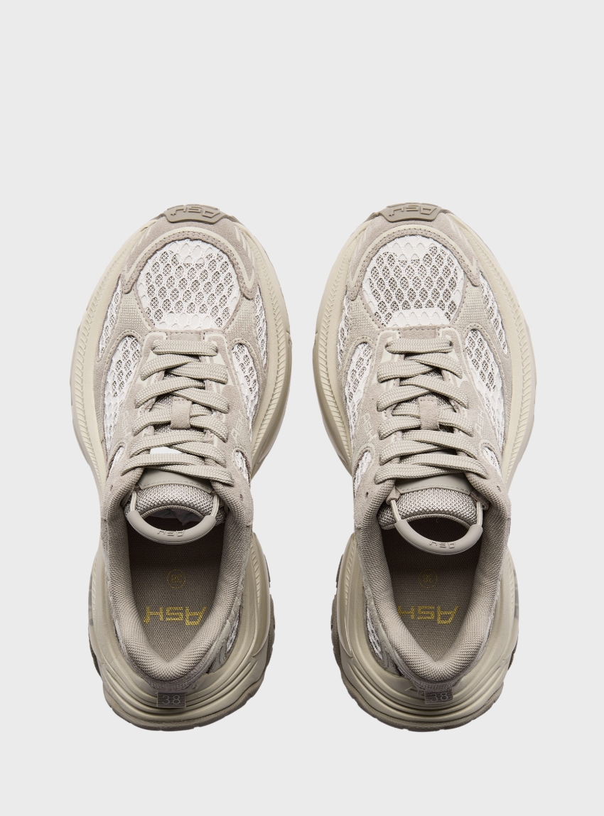 Ash Dragon Sneakers - Ecru