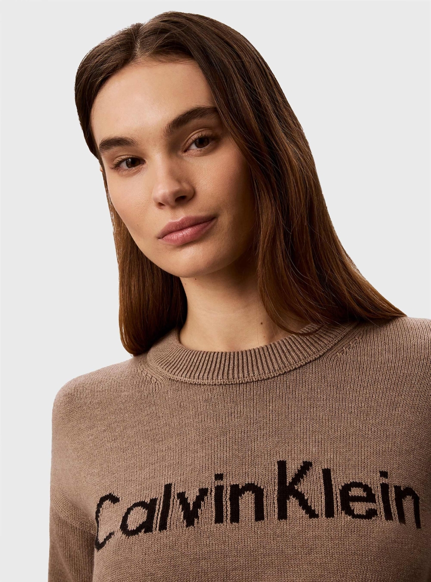 Calvin Klein Logo Graphic Relaxed Jumper - Dark Beige